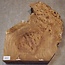 Caucasian Elm burl, approx. 345 x 260-420 x 62mm, 3,18kg