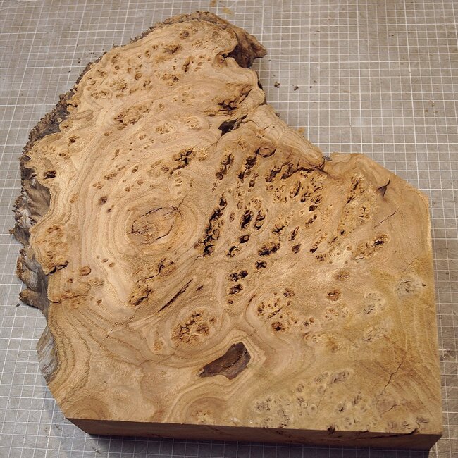 Caucasian Elm burl, approx. 345 x 260-420 x 62mm, 3,18kg
