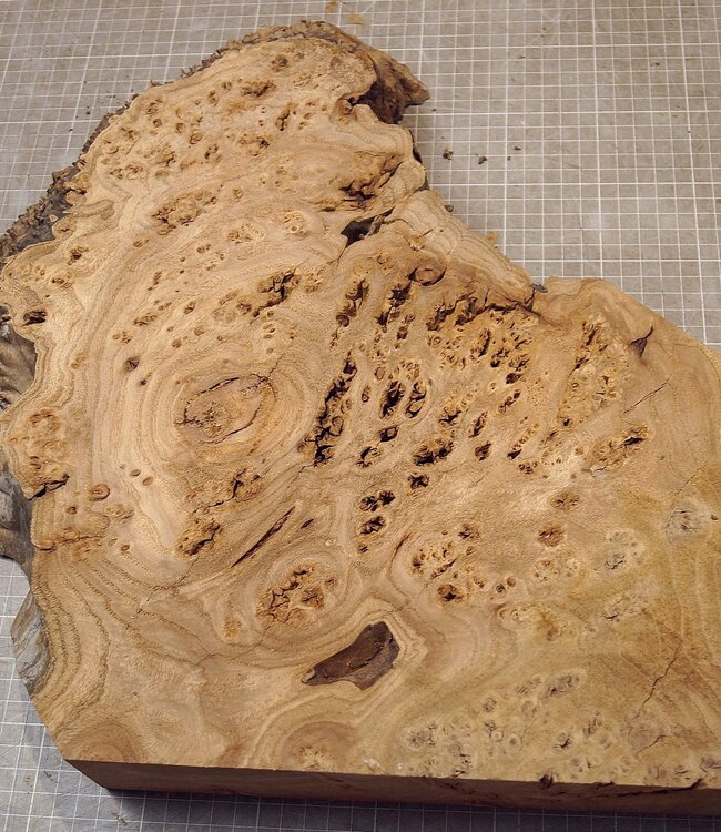 Kaukasische Rüster Maser, ca. 345 x 260-420 x 62mm, 3,18kg