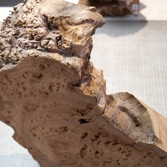 Caucasian Elm burl, approx. 345 x 260-420 x 62mm, 3,18kg