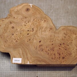 Kaukasische Rüster Maser, ca. 450 x 320 x 67mm, 2,74kg