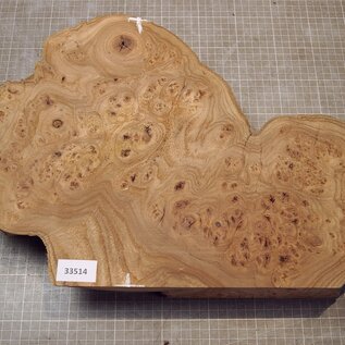 Kaukasische Rüster Maser, ca. 450 x 320 x 67mm, 2,74kg