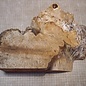 Caucasian Elm burl, approx. 450 x 320 x 67mm, 2,74kg