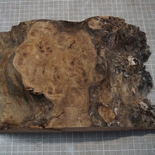 Kaukasische Rüster Maser, ca. 285 x 185 x 60mm, 1,34kg