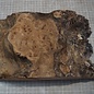 Caucasian Elm burl, approx. 285 x 185 x 60mm, 1,34kg