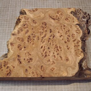 Caucasian Elm burl, approx. 240-335 x 248 x 58mm, 2,20kg