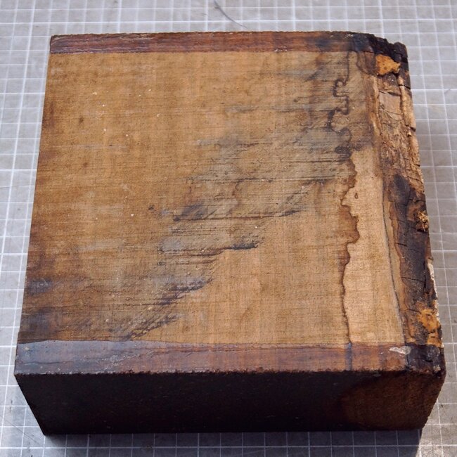 Kaukasischer Nussbaum, ca.  173 x 175 x 70mm, 1,18kg