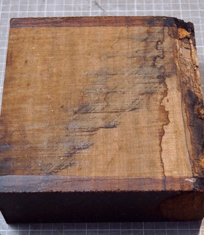 Kaukasischer Nussbaum, ca.  173 x 175 x 70mm, 1,18kg