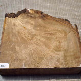 Kaukasischer Nussbaum, ca. 332 x 210-310 x 68mm, 4,06kg