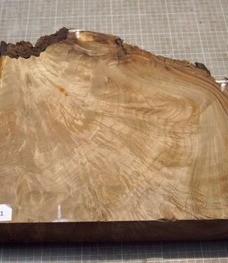 Caucasian Walnut, approx. 332 x 210-310 x 68mm, 4,06kg