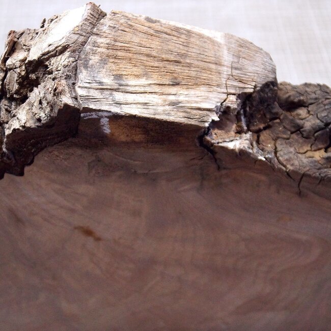 Kaukasischer Nussbaum, ca. 332 x 210-310 x 68mm, 4,06kg