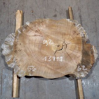 Caucasian Elm, burl slab, approx. 920 x 620/560 x 80 mm, 13711