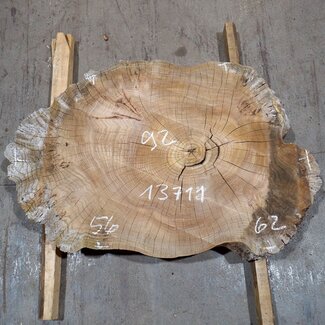 Caucasian Elm, burl slab, approx. 920 x 620/560 x 80 mm, 13711