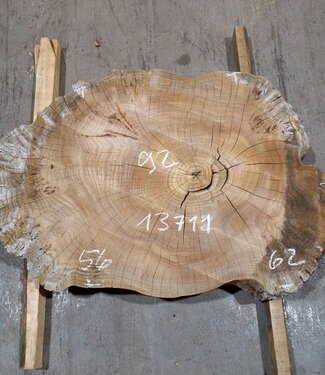 Kaukasische Rüster Baumscheibe, ca. 920 x 620/560 x 80 mm, 13711