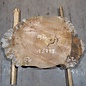 Caucasian Elm, burl slab, approx. 920 x 620/560 x 80 mm, 13711