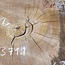 Caucasian Elm, burl slab, approx. 920 x 620/560 x 80 mm, 13711