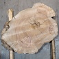 Caucasian Elm, burl slab, approx. 920 x 620/560 x 80 mm, 13711
