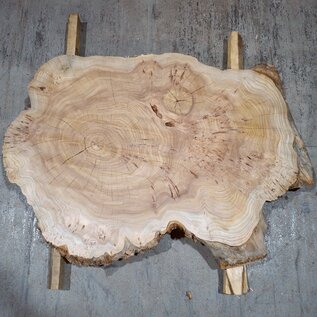 Caucasian Elm, burl slab, approx. 1040 x 760 x 80 mm, 13710
