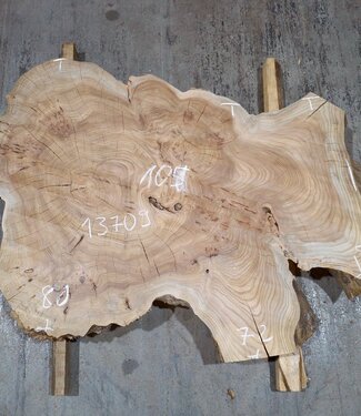 Caucasian Elm, burl slab, approx. 1050 x 720 x 80 mm, 13709