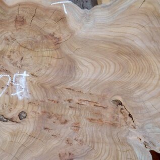 Caucasian Elm, burl slab, approx. 1050 x 720 x 80 mm, 13709