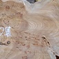 Caucasian Elm, burl slab, approx. 1050 x 720 x 80 mm, 13709