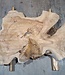 Caucasian Elm, burl slab, approx. 1050 x 720 x 80 mm, 13709