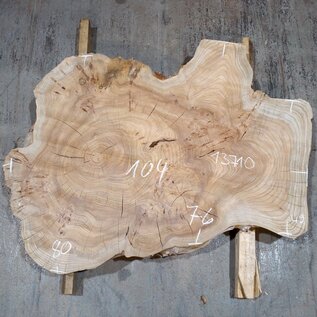 Caucasian Elm, burl slab, approx. 1050 x 720 x 80 mm, 13709