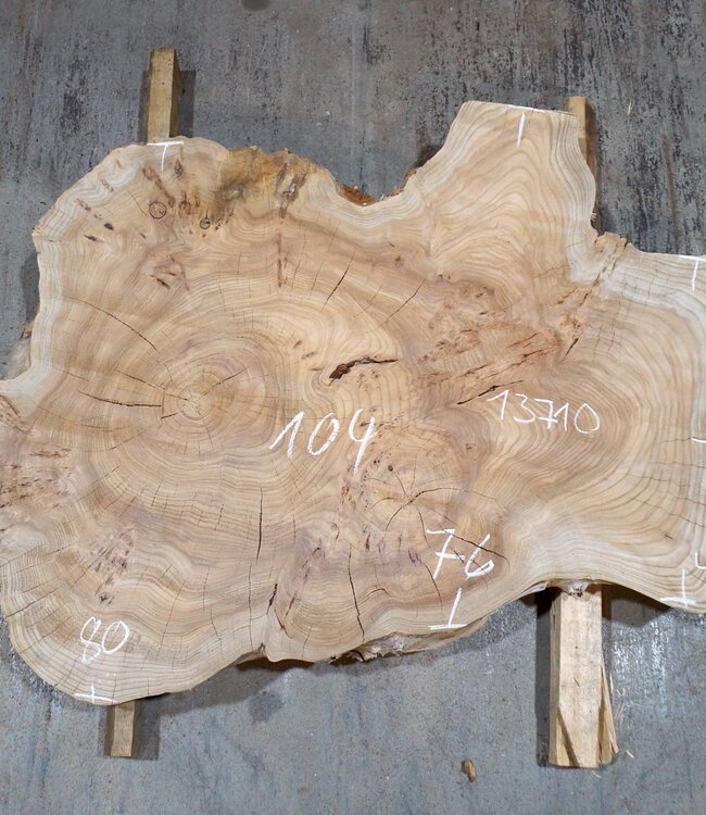 Kaukasische Rüster Baumscheibe, ca. 1050 x 720 x 80 mm, 13709