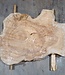 Caucasian Elm, burl slab, approx. 1050 x 720 x 80 mm, 13709