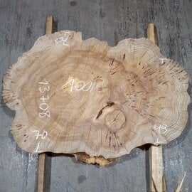 Caucasian Elm, burl slab, approx. 1000 x 700 x 80 mm, 13708
