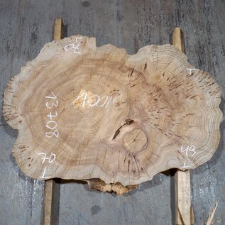 Caucasian Elm, burl slab, approx. 1000 x 700 x 80 mm, 13708