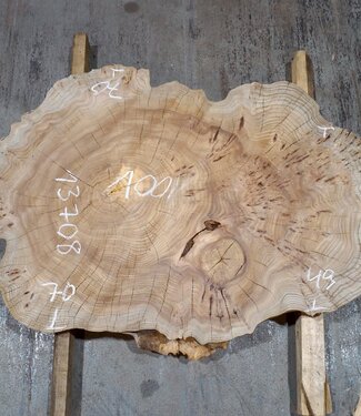 Caucasian Elm, burl slab, approx. 1000 x 700 x 80 mm, 13708