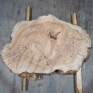 Caucasian Elm, burl slab, approx. 1000 x 700 x 80 mm, 13708