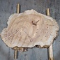 Caucasian Elm, burl slab, approx. 1000 x 700 x 80 mm, 13708