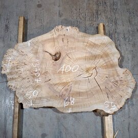 Caucasian Elm, burl slab, approx. 1000 x 590 x 80 mm, 13707