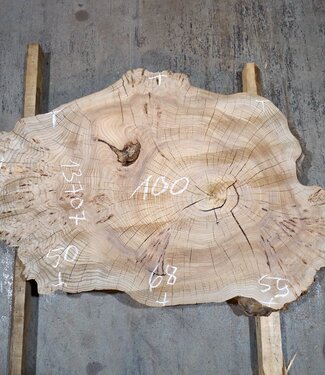 Caucasian Elm, burl slab, approx. 1000 x 590 x 80 mm, 13707
