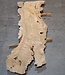 Caucasian Elm, burl slab, approx. 2400 x 780 x 62 mm, 13706