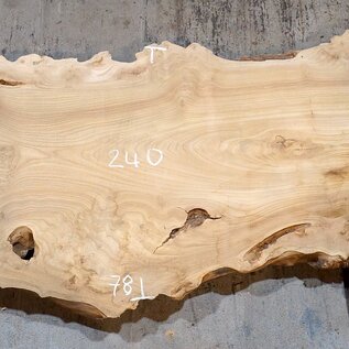 Caucasian Elm, burl slab, approx. 2400 x 780 x 62 mm, 13706