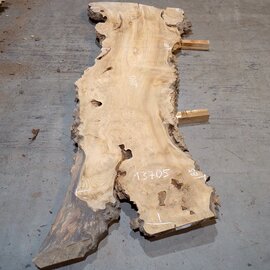 Caucasian Elm, burl slab, approx. 2600 x 830 x 62 mm, 13705