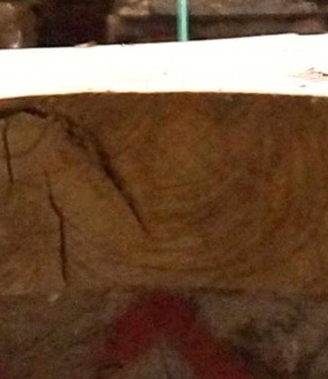 Kaukasische Rüster Maserplatte, ca. 2600 x 830 x 62 mm, 13705