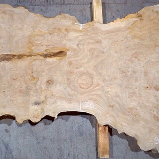 Kaukasische Rüster Maserplatte, ca. 2400 x 980 x 62 mm, 13704