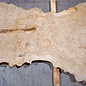Caucasian Elm, burl slab, approx. 2400 x 980 x 62 mm, 13704