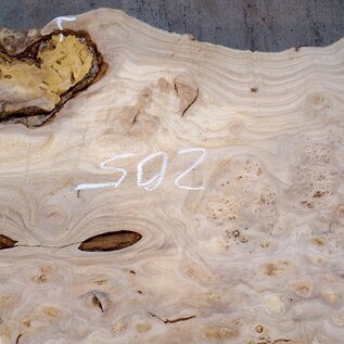 Caucasian Elm, burl slab, approx. 2050 x 400 x 40 mm, 13702