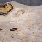 Caucasian Elm, burl slab, approx. 2050 x 400 x 40 mm, 13702