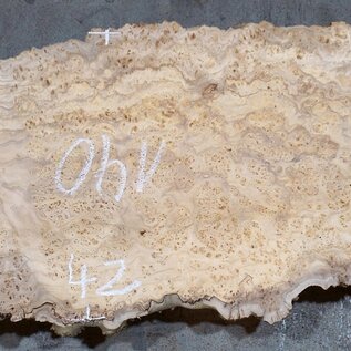 Caucasian Elm, burl slab, approx. 1400 x 400 x 50 mm, 13700