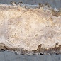 Caucasian Elm, burl slab, approx. 1400 x 400 x 50 mm, 13700