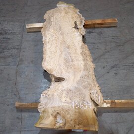 Caucasian Elm, burl slab, approx. 1450 x 420 x 40 mm, 13699