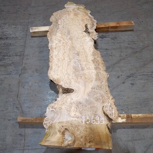 Caucasian Elm, burl slab, approx. 1450 x 420 x 40 mm, 13699