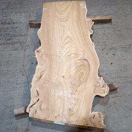 Caucasian Elm, burl slab, approx. 1550 x 710/550 x 48 mm, 13698