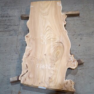 Caucasian Elm, burl slab, approx. 1550 x 710/550 x 48 mm, 13698